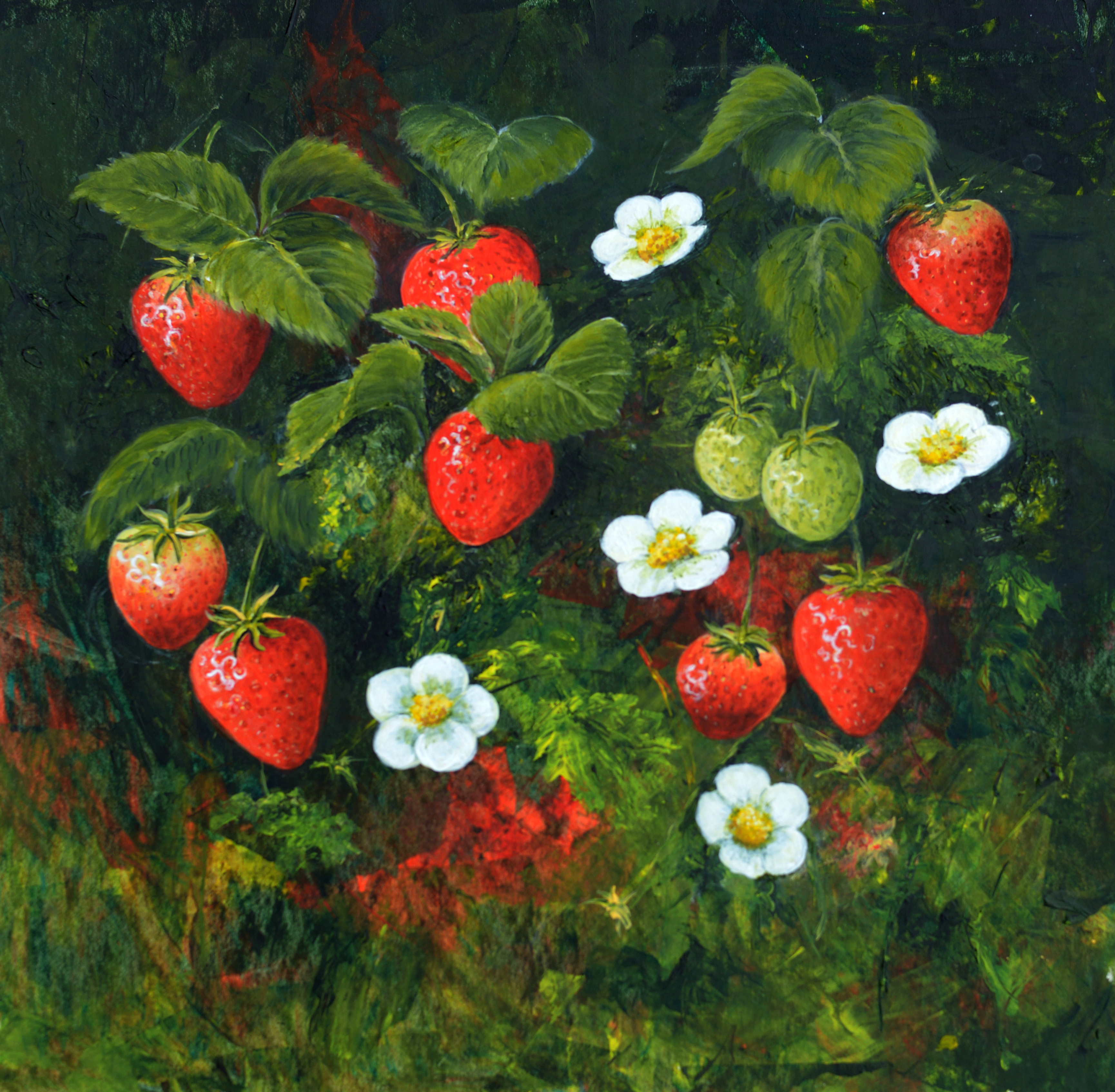 Strawberry Field - acrylic - Marian Shepherd Strawberry Field - acrylic - Marian Shepherd
